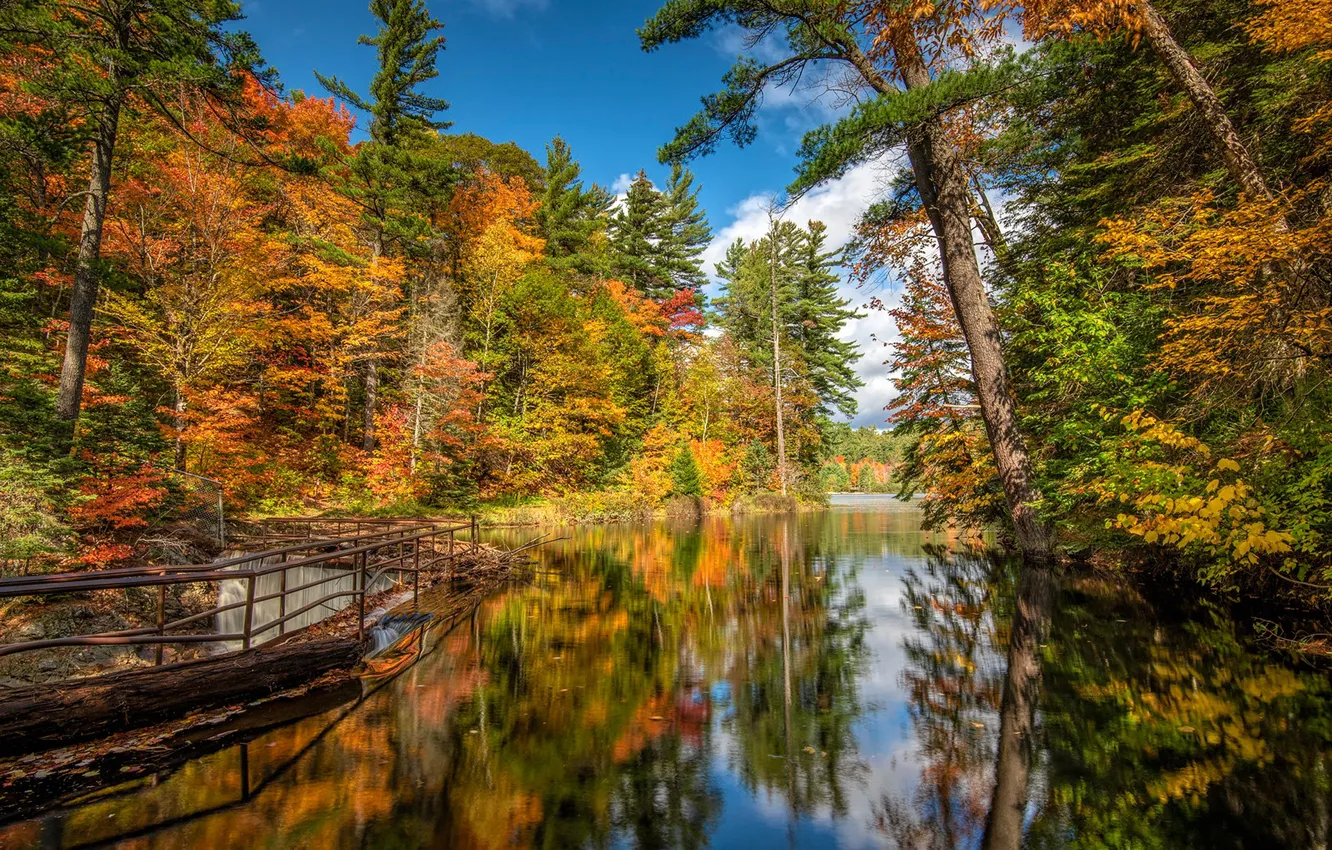 Photo wallpaper autumn, forest, trees, reflection, river, Canada, dam, Ontario