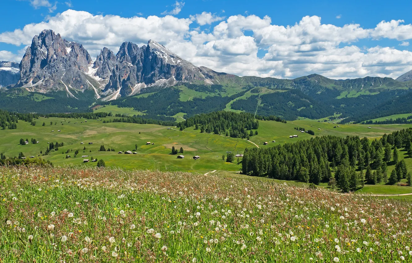 Photo wallpaper road, field, forest, summer, the sky, grass, clouds, flowers