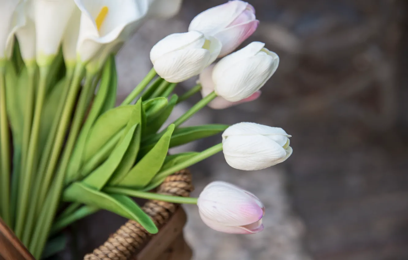 Photo wallpaper bouquet, tulips, white, basket