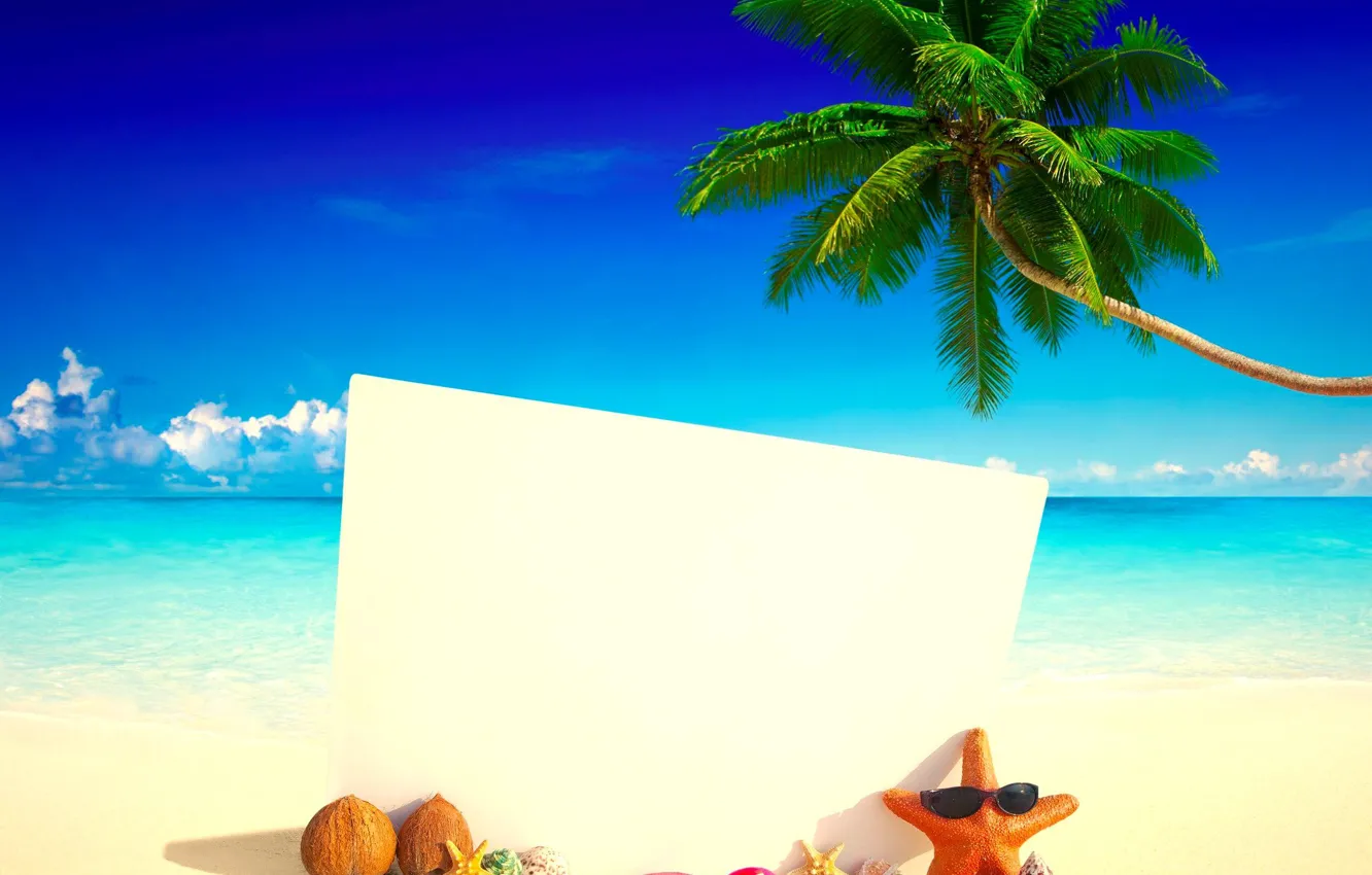 Photo wallpaper sea, beach, tropics, Palma, coconut, card, slates