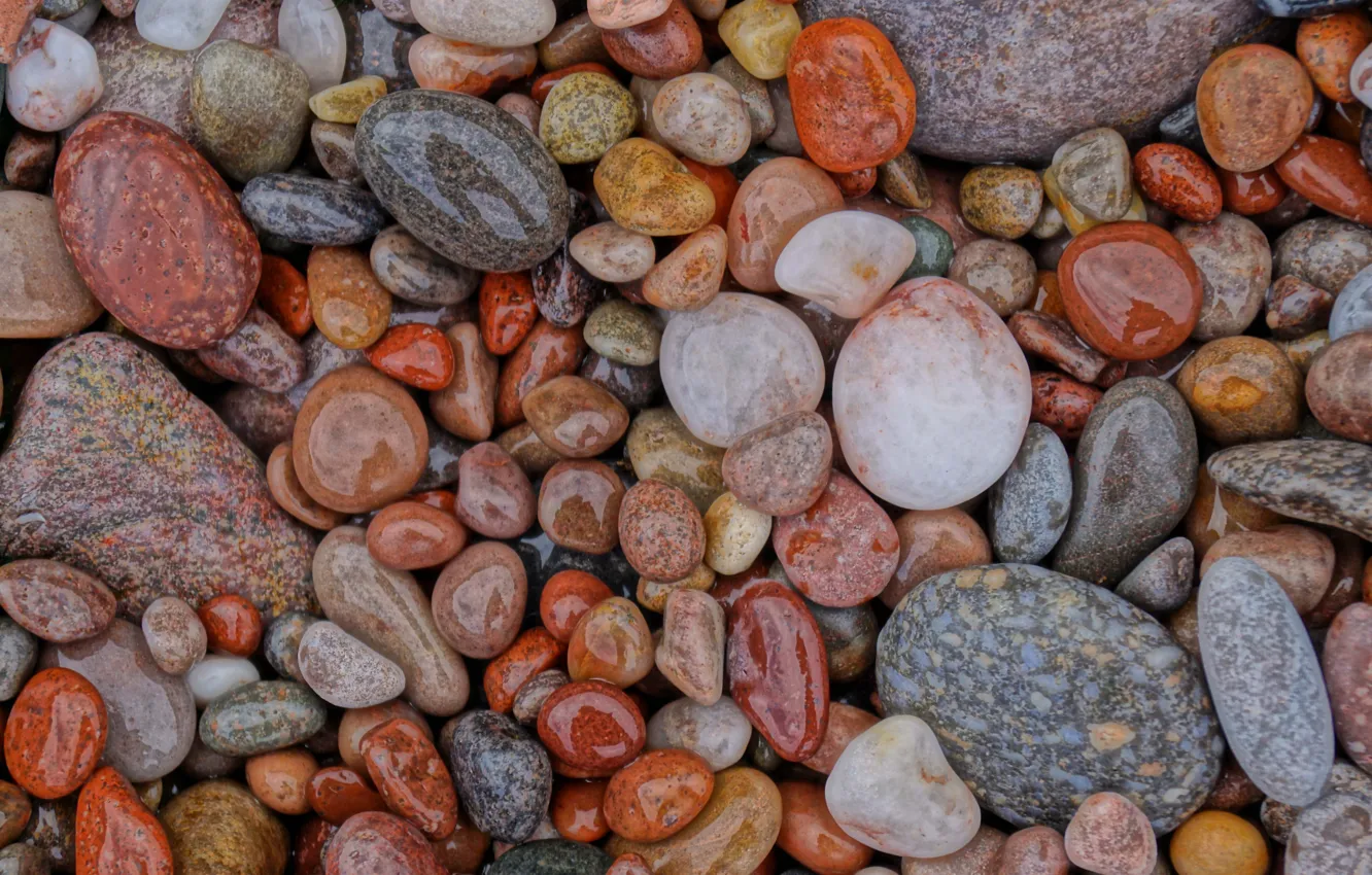 Photo wallpaper wet, stones, shiny, pebble