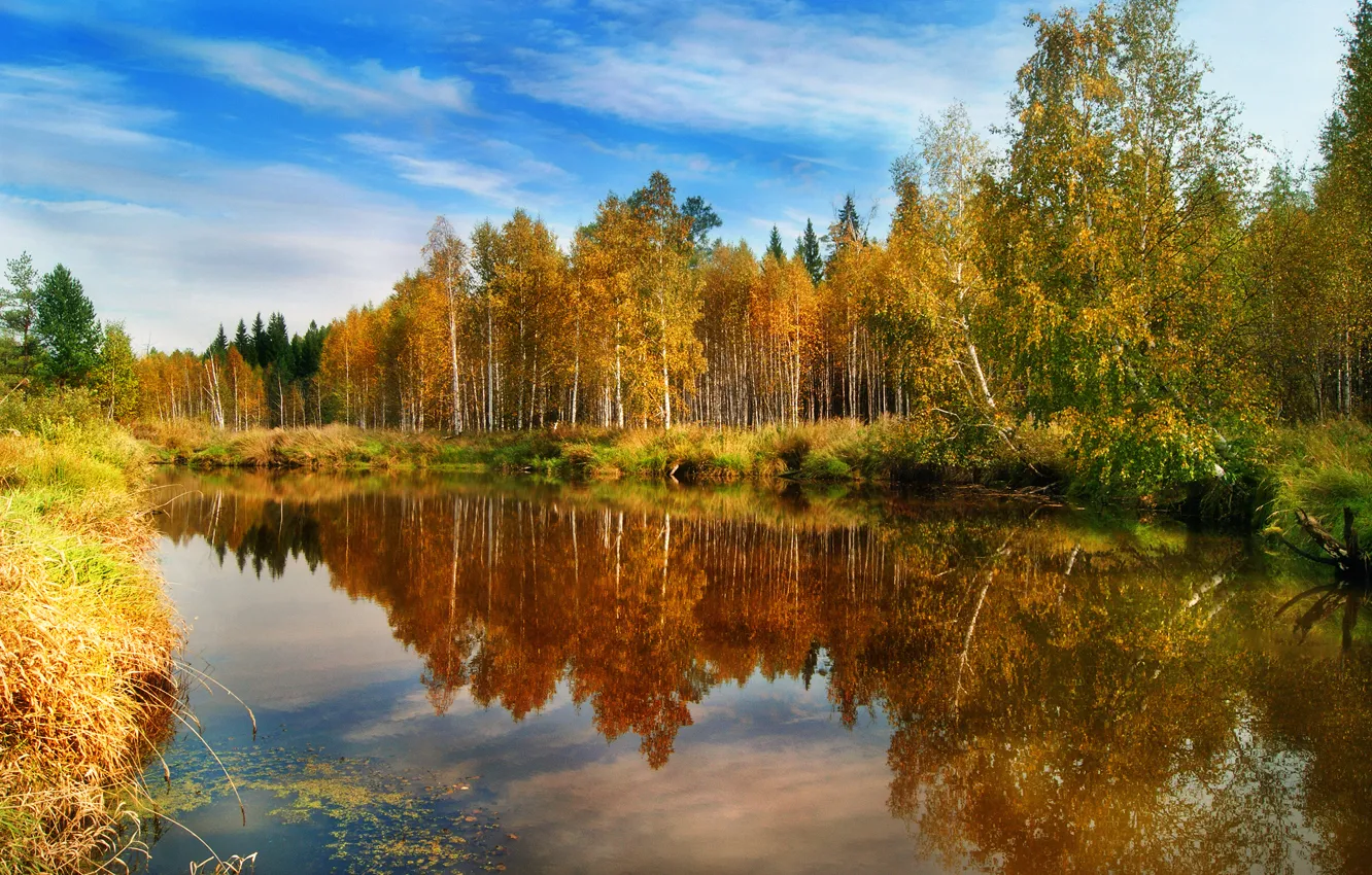 Photo wallpaper autumn, forest, water, reflection, nature