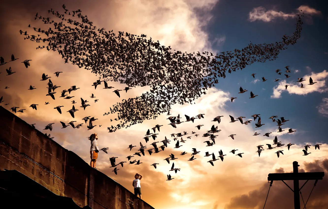 Photo wallpaper roof, the sky, dream, the sun, clouds, light, flight, sunset