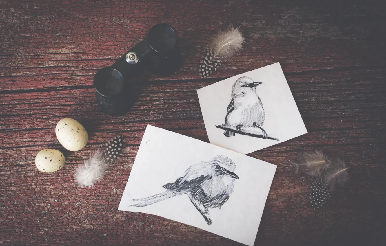 Photo wallpaper birds, figure, eggs, feathers, drawings, binoculars, bird