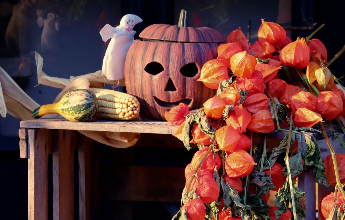 Photo wallpaper autumn, pumpkin, Halloween, physalis, Halloween, smiley, orbit