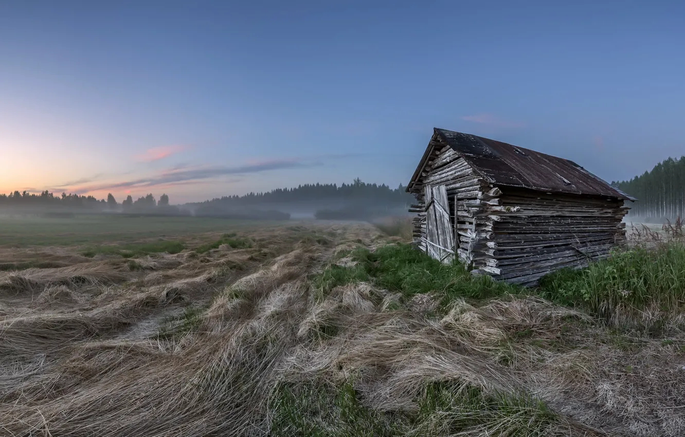 Photo wallpaper field, home, morning