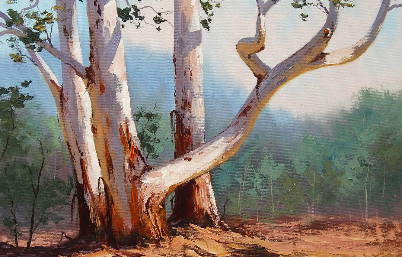 Photo wallpaper forest, trees, nature, art, trunk, curves, ARTSAUS