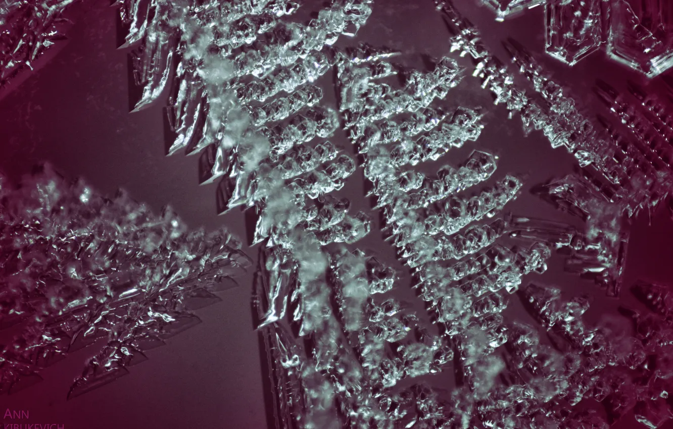 Photo wallpaper ice, glass, macro, photographer ann_ann (Ann Kibukevich)