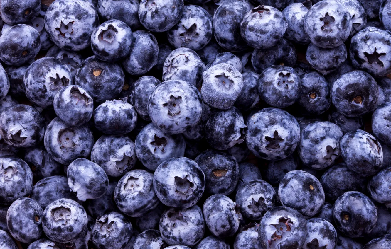 Photo wallpaper berries, a lot, Blueberries