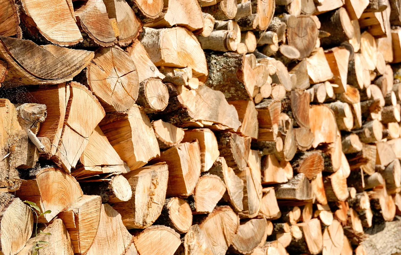 Photo wallpaper macro, background, wood