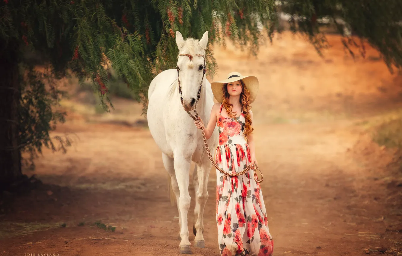Photo wallpaper mood, horse, horse, hat, dress, girl, Edie Layland