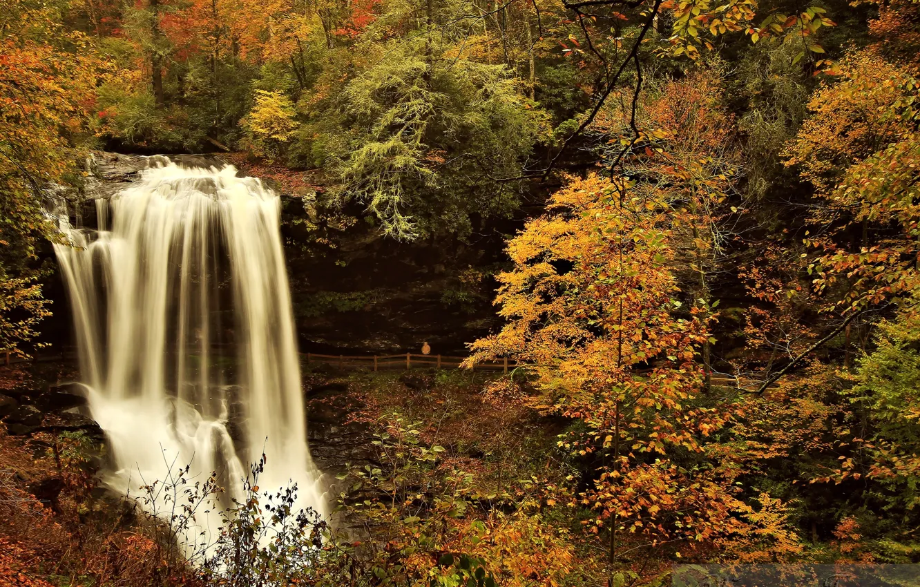 Photo wallpaper autumn, forest, river, waterfall