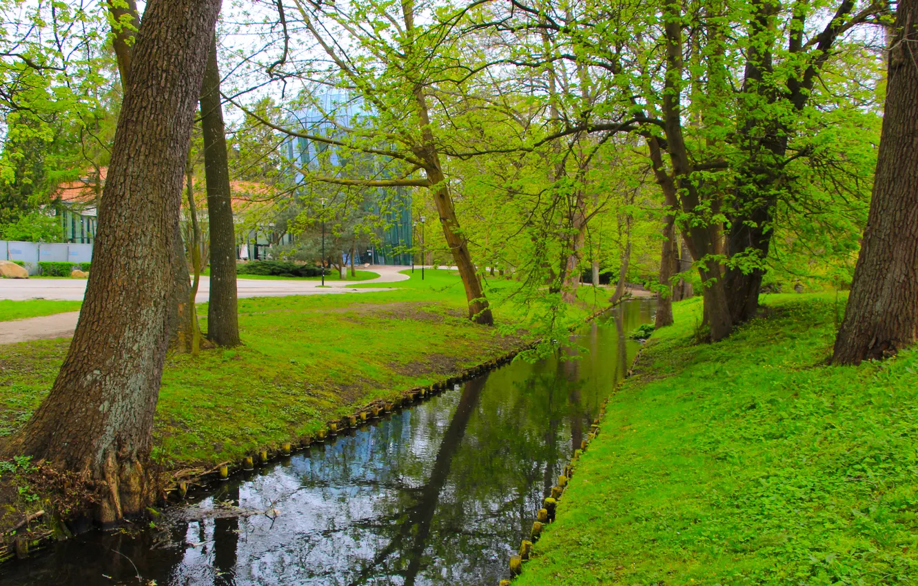 Photo wallpaper river, water, park, tree, spring
