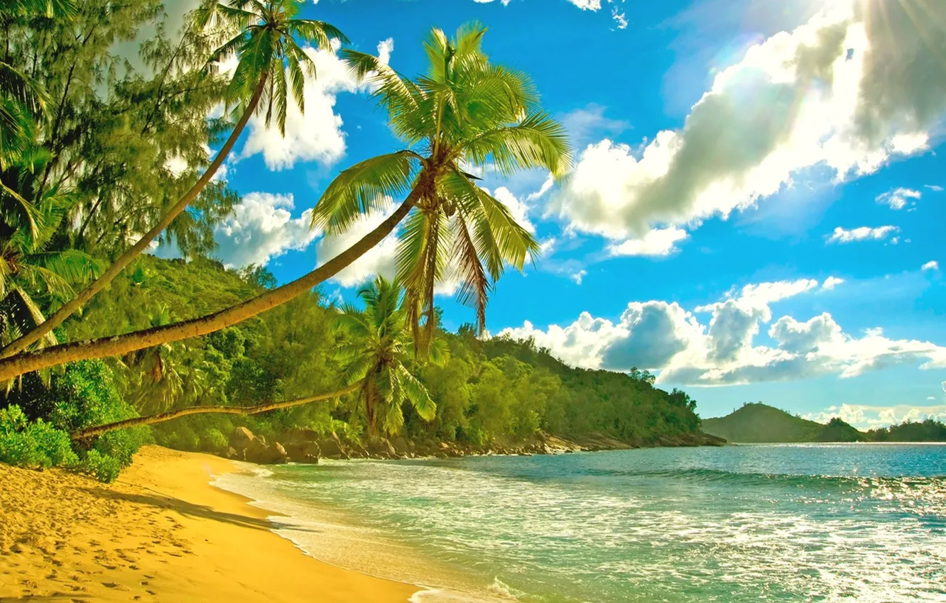 Photo wallpaper palm trees, the ocean, shore, Seychelles