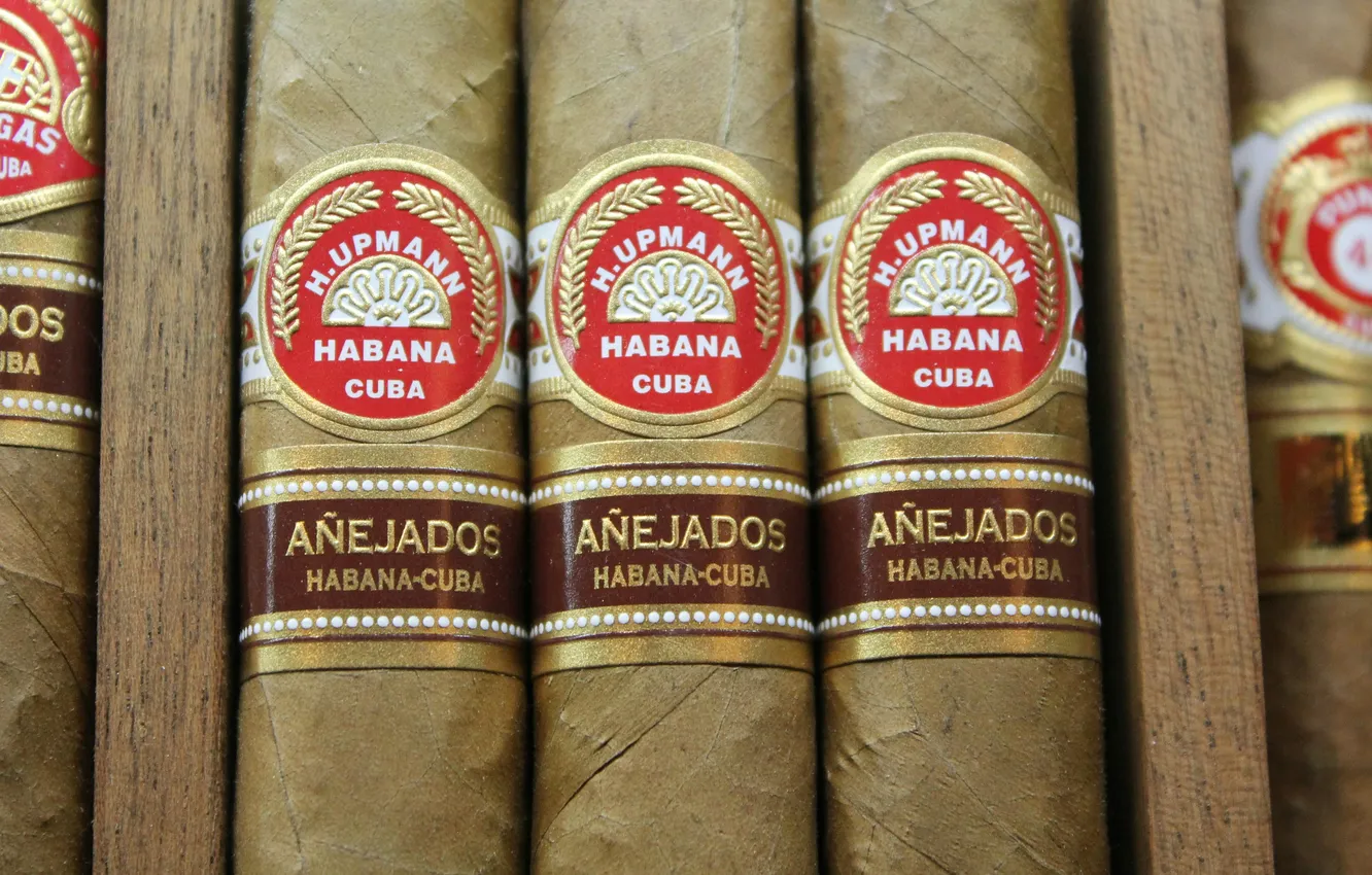 Photo wallpaper cigar, Attached, H Upmann