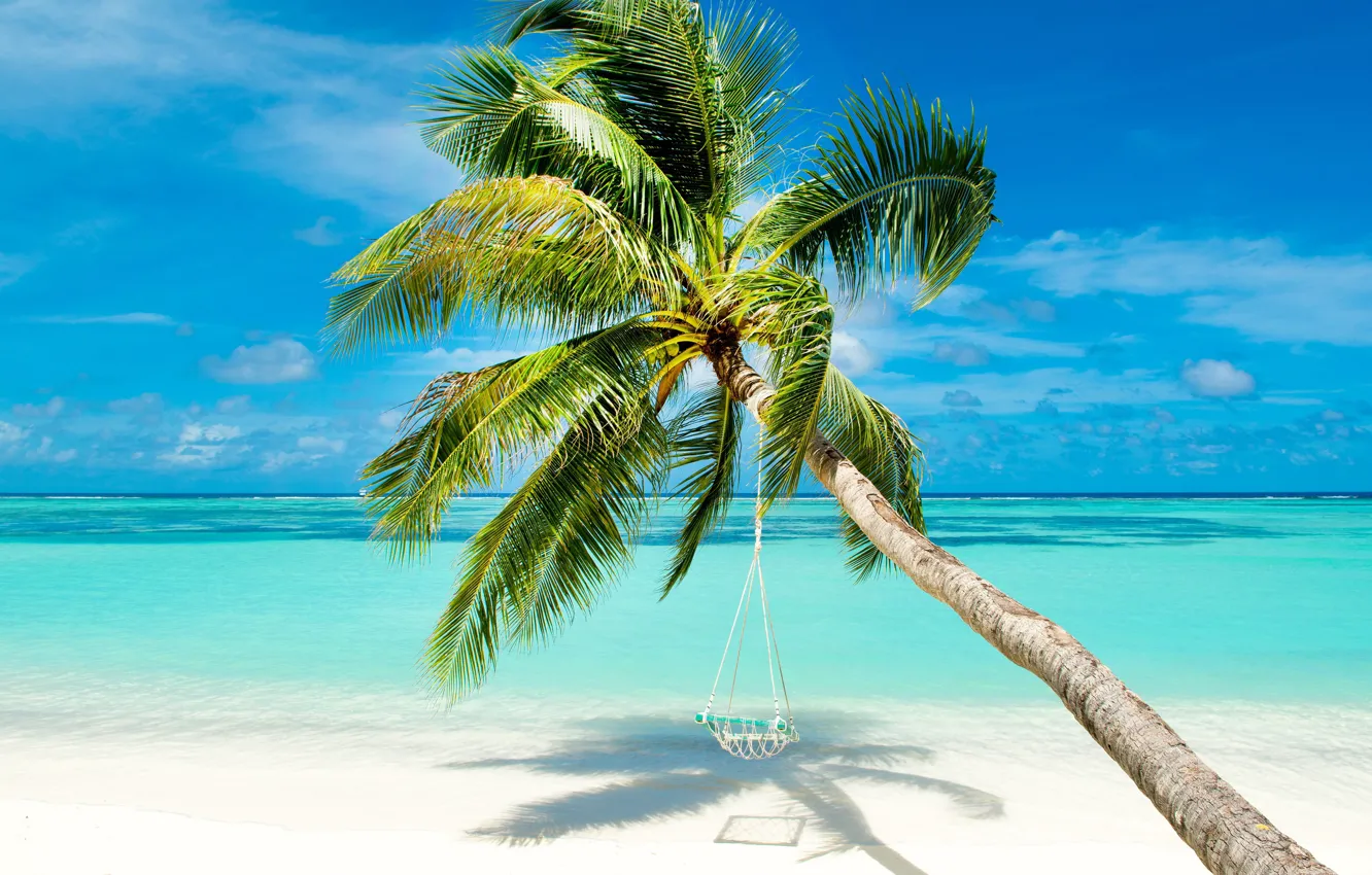 Photo wallpaper sea, beach, nature, tropics, palm trees, shore, blue sky