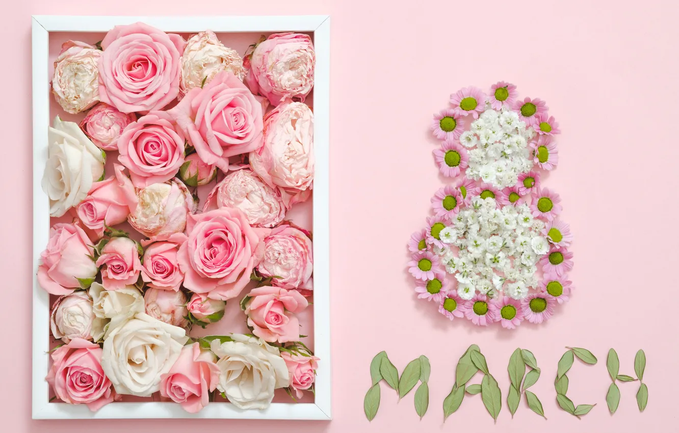 Photo wallpaper flowers, roses, figures, March 8, pink, flowers, spring, roses