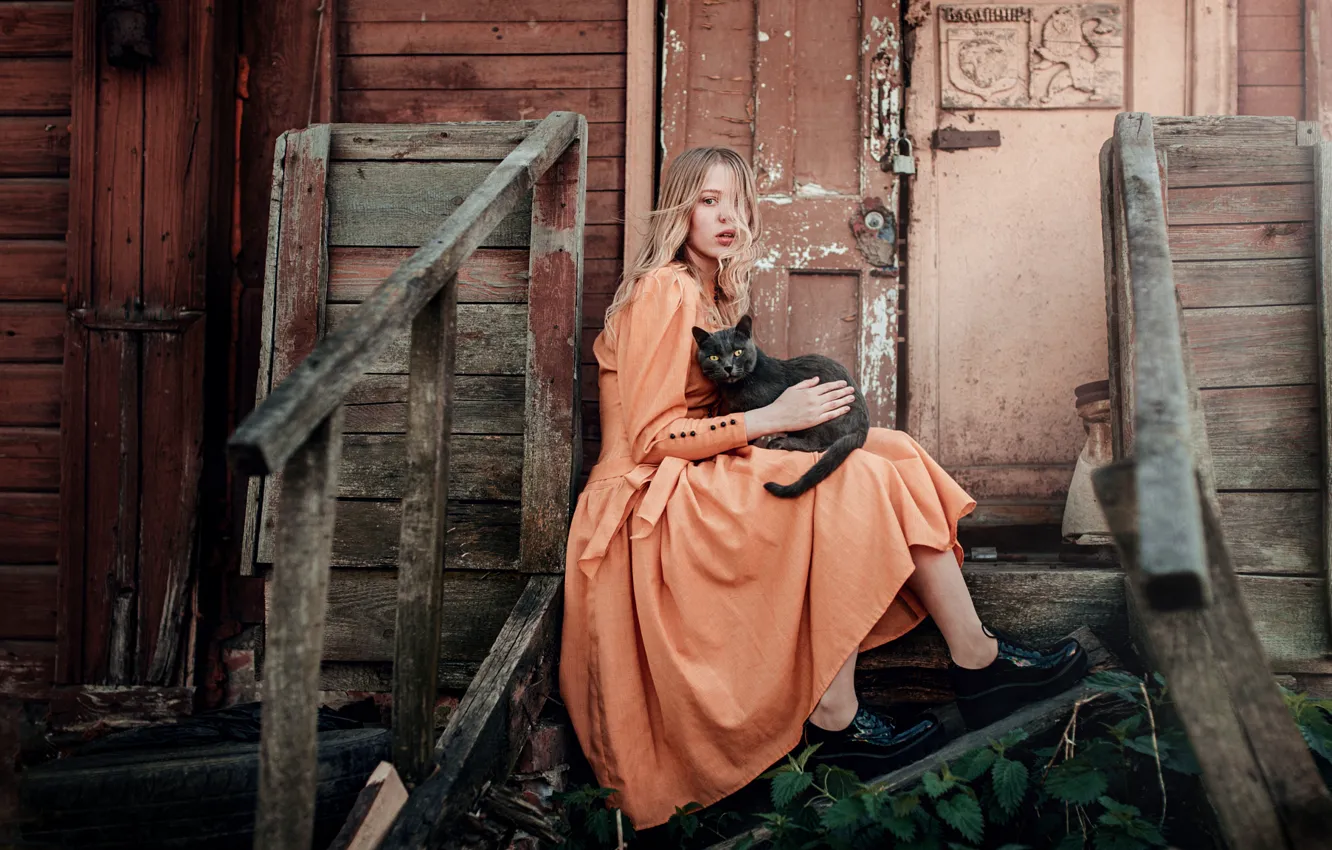 Photo wallpaper cat, look, girl, model, dress, beautiful, Julia