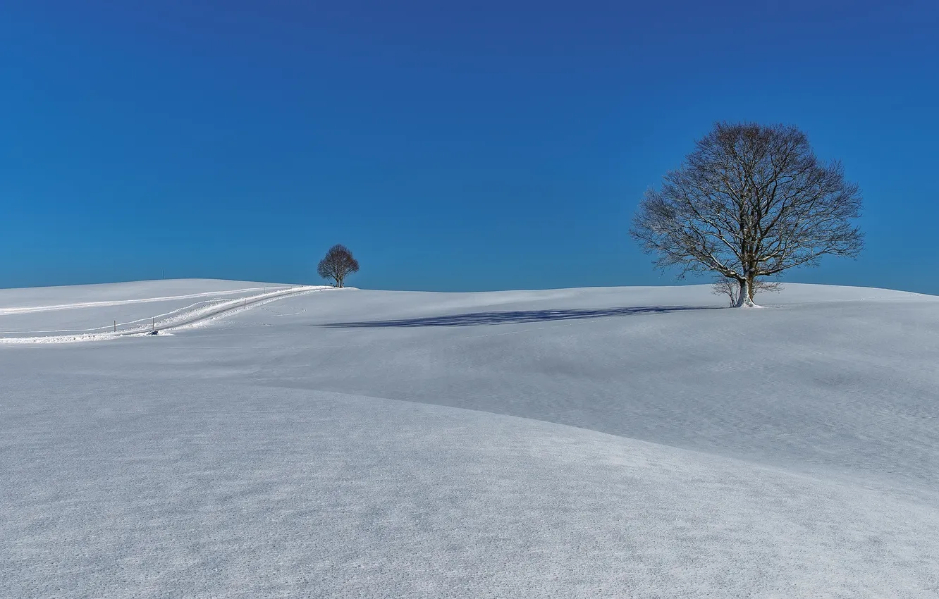 Photo wallpaper winter, road, snow, trees, hills, Germany, Bayern