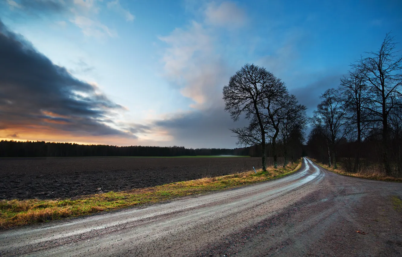 Photo wallpaper road, the sky, trees, sunset