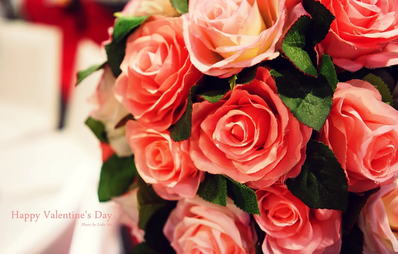 Photo wallpaper flowers, roses, rose, flowers, happy valentines day, Valentine's day
