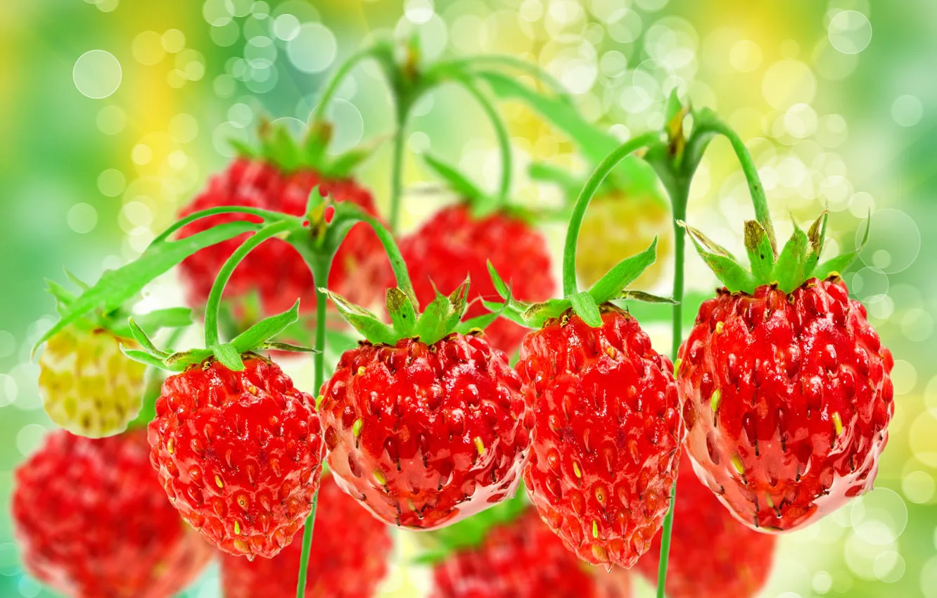 Photo wallpaper nature, berries, strawberries, bokeh
