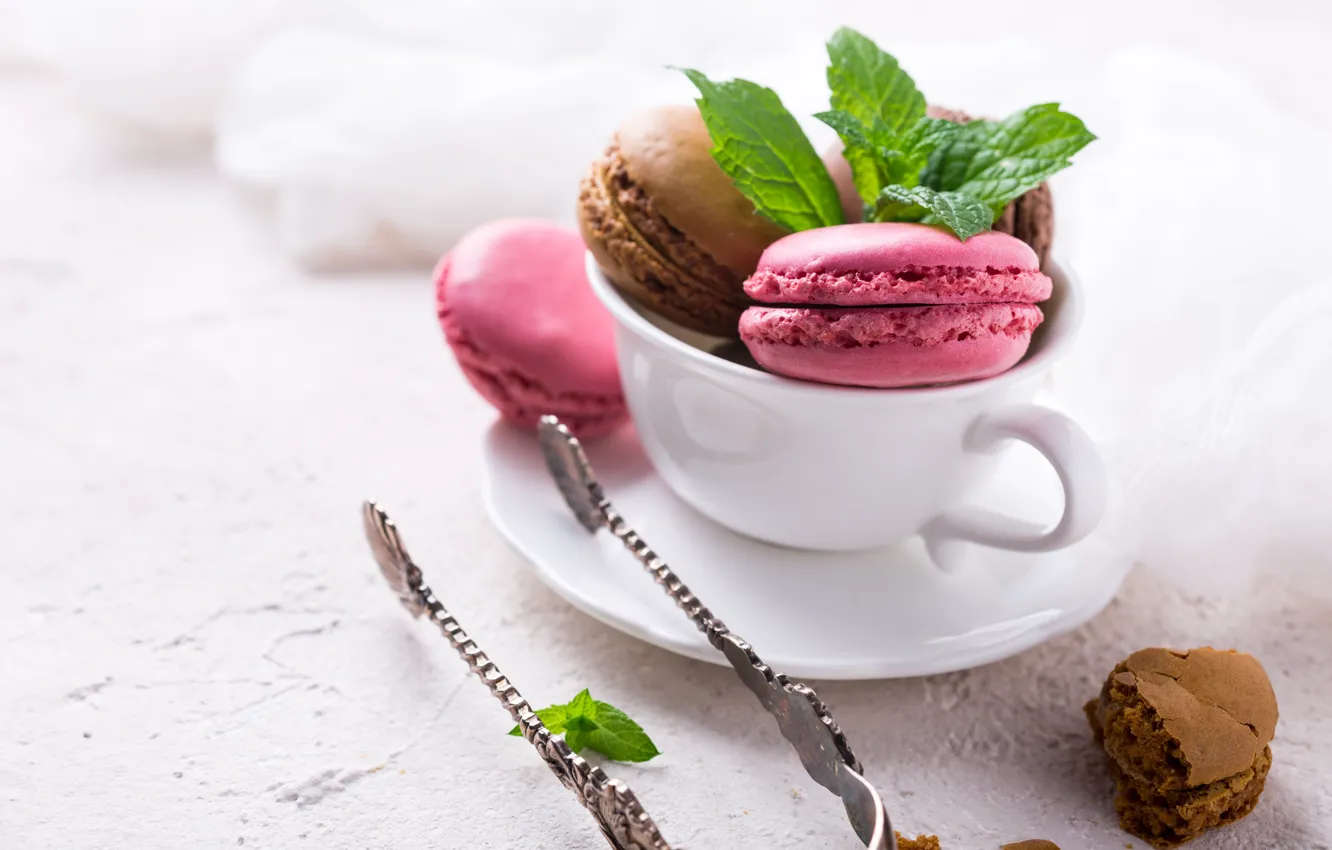 Photo wallpaper Cup, dessert, macaron, Iryna Melnyk