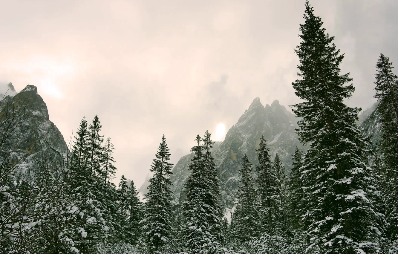 Photo wallpaper winter, the sky, the sun, snow, trees, mountains, nature, overcast