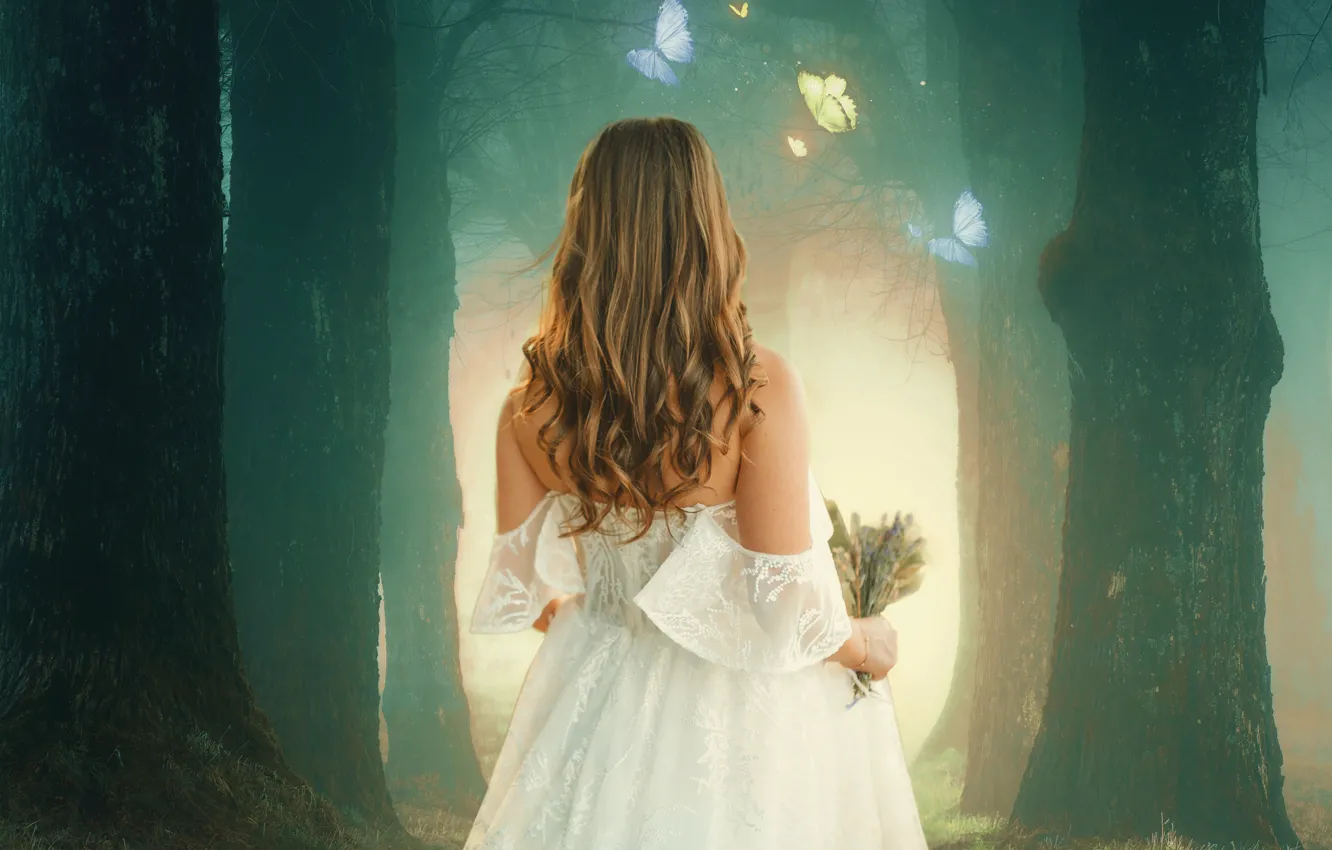 Photo wallpaper forest, girl, light, trees, butterfly, branches, nature, fog