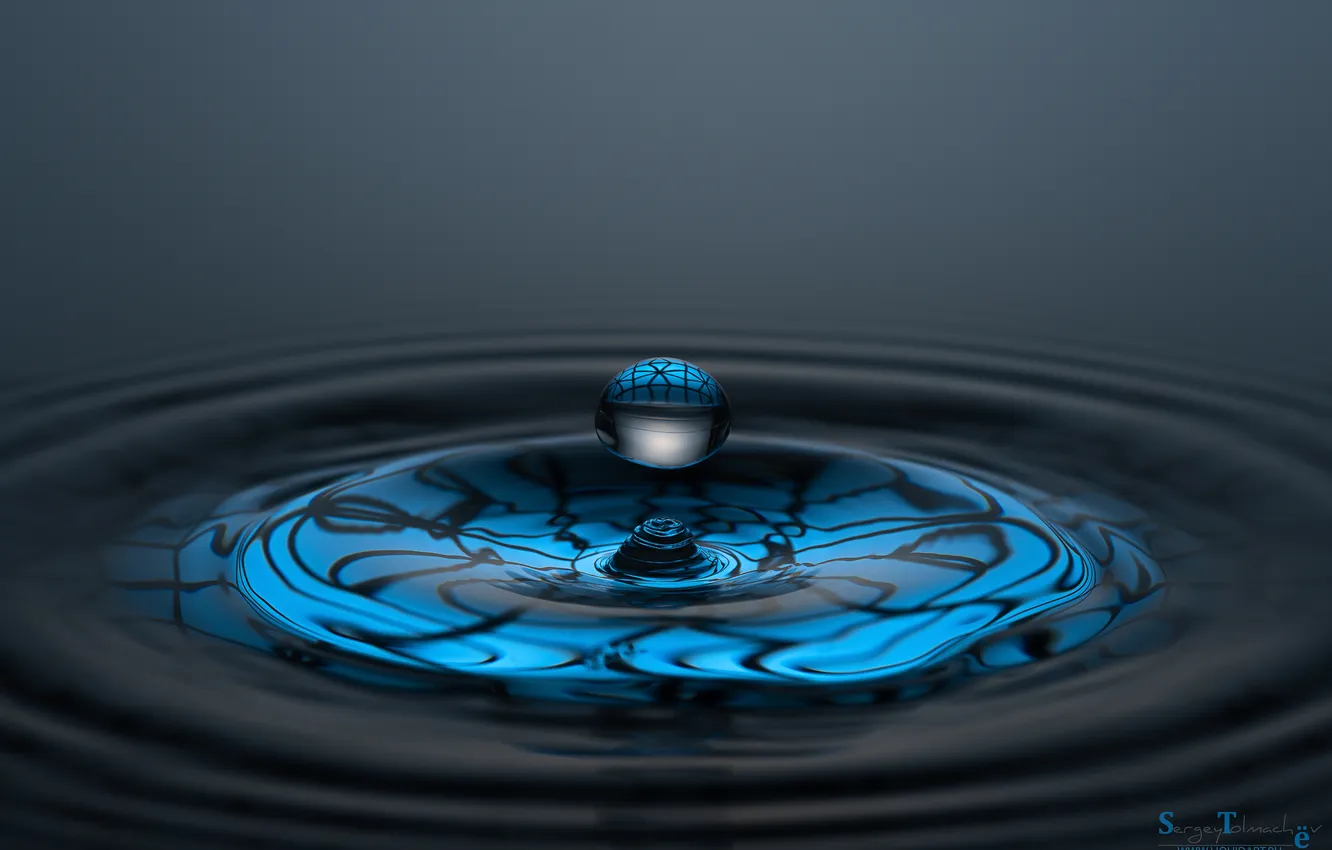 Photo wallpaper drops, abstraction, circles on the water, dark gray, Sergey Tolmachev