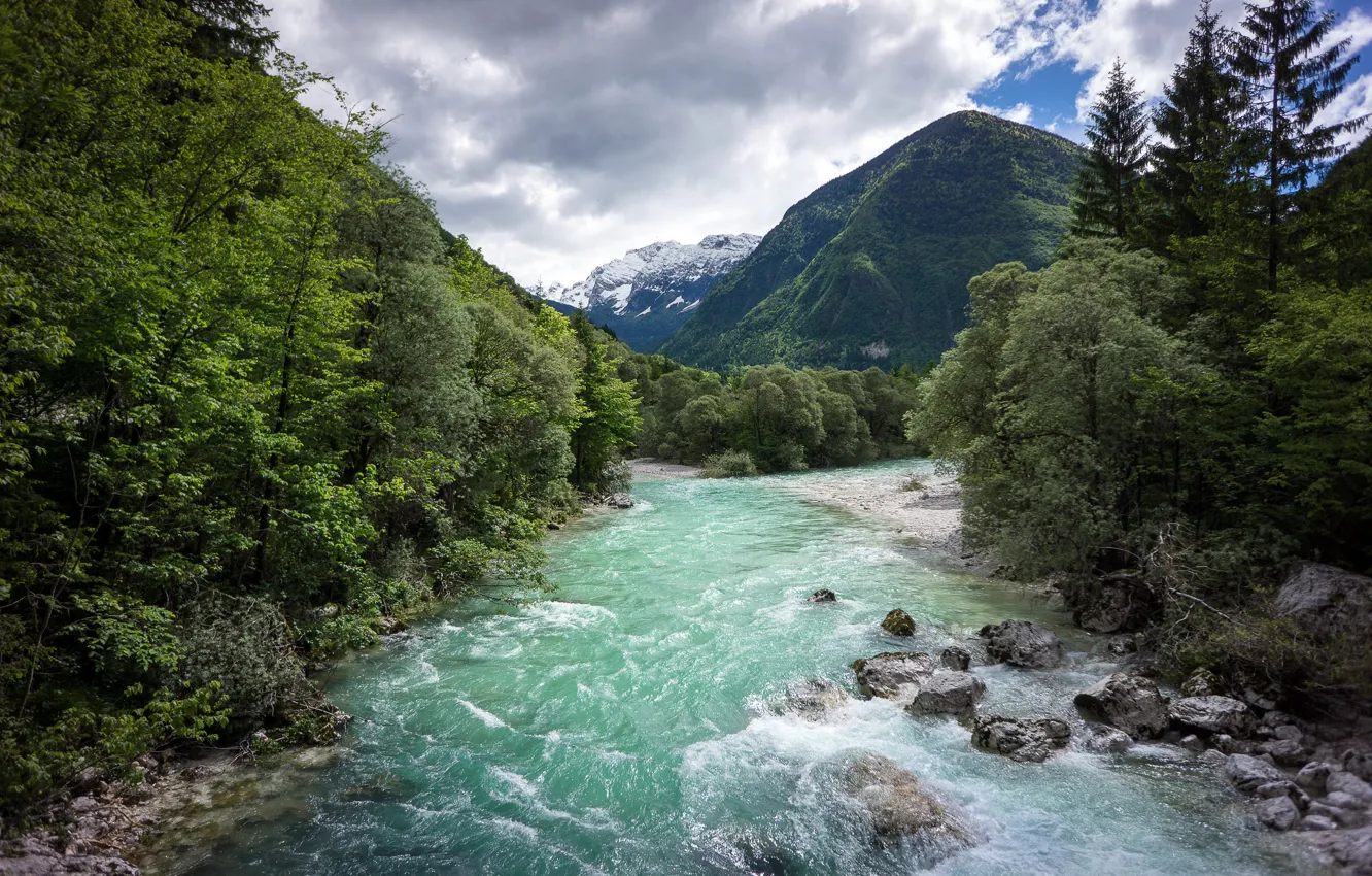 Photo wallpaper forest, mountains, river, Slovenia, Triglav National Park