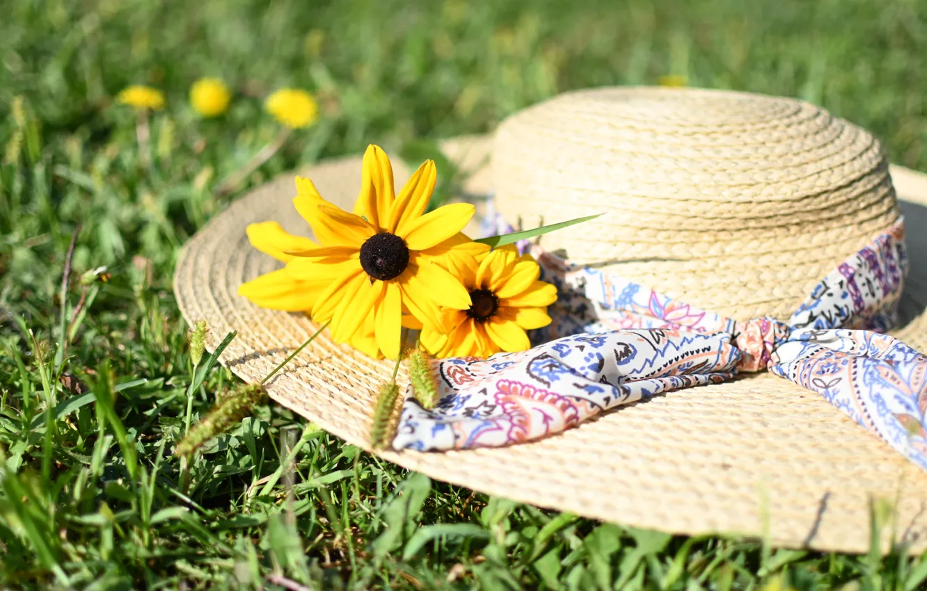 Photo wallpaper summer, grass, flowers, hat, rudbeckia