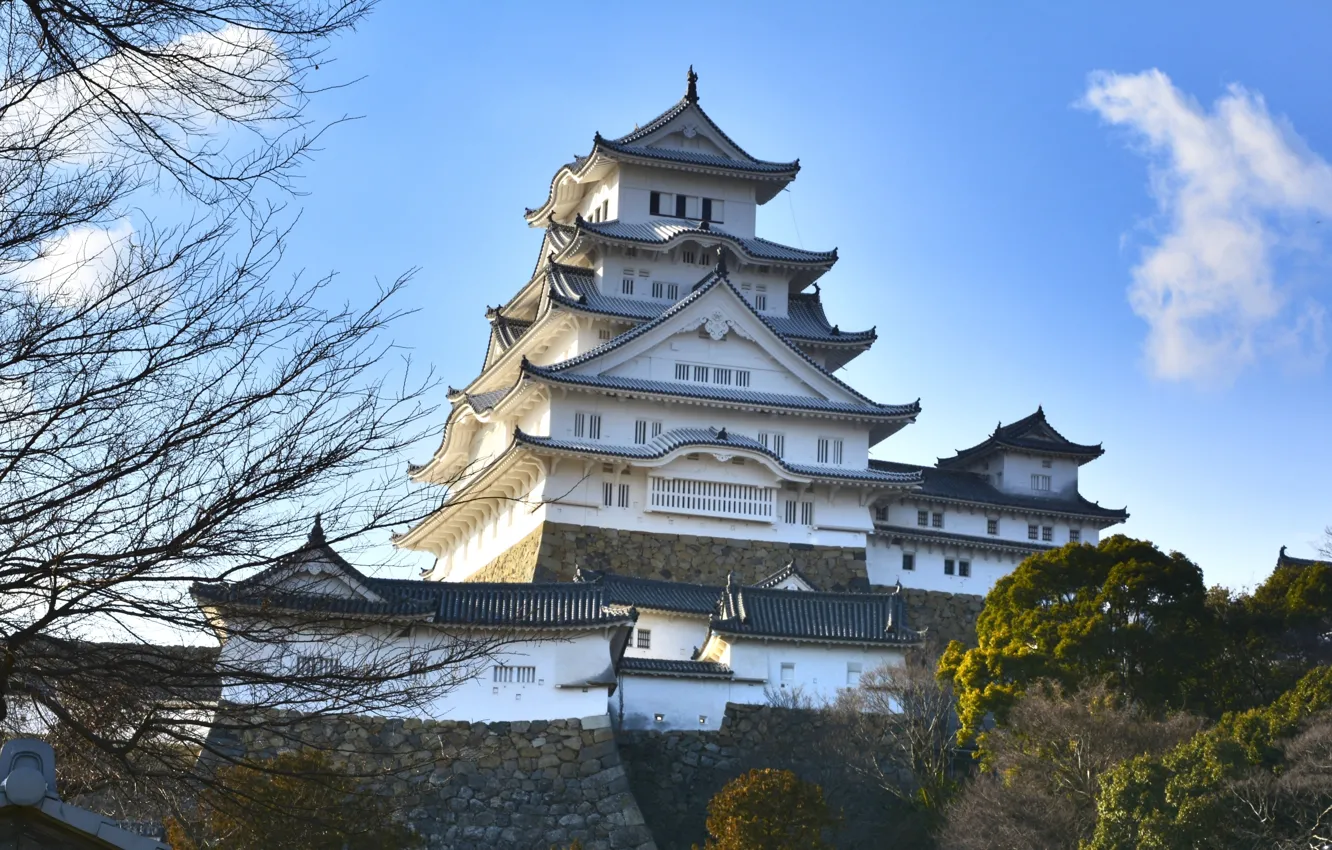 Photo wallpaper castle, Japan, pagoda, Palace