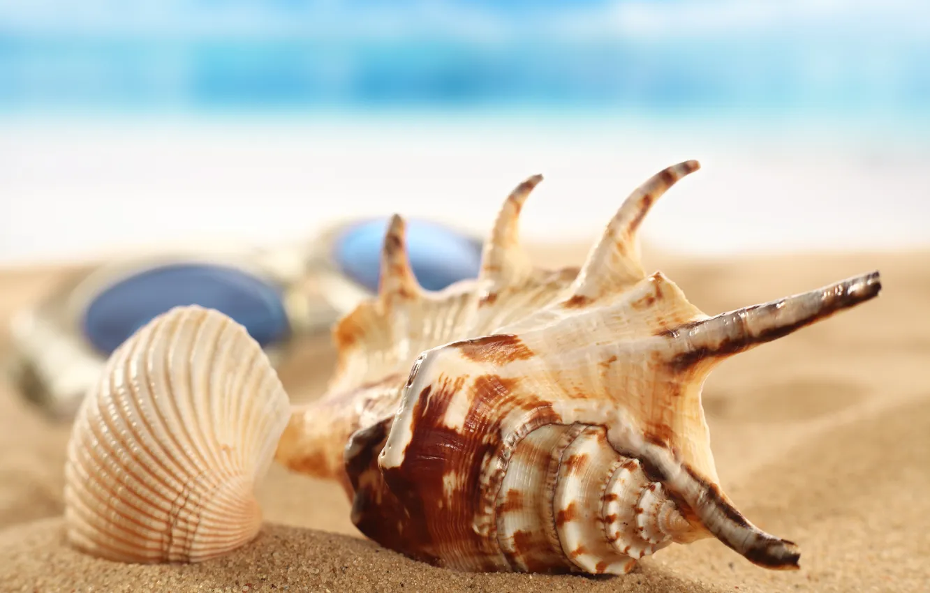 Photo wallpaper sand, the sky, glasses, shell