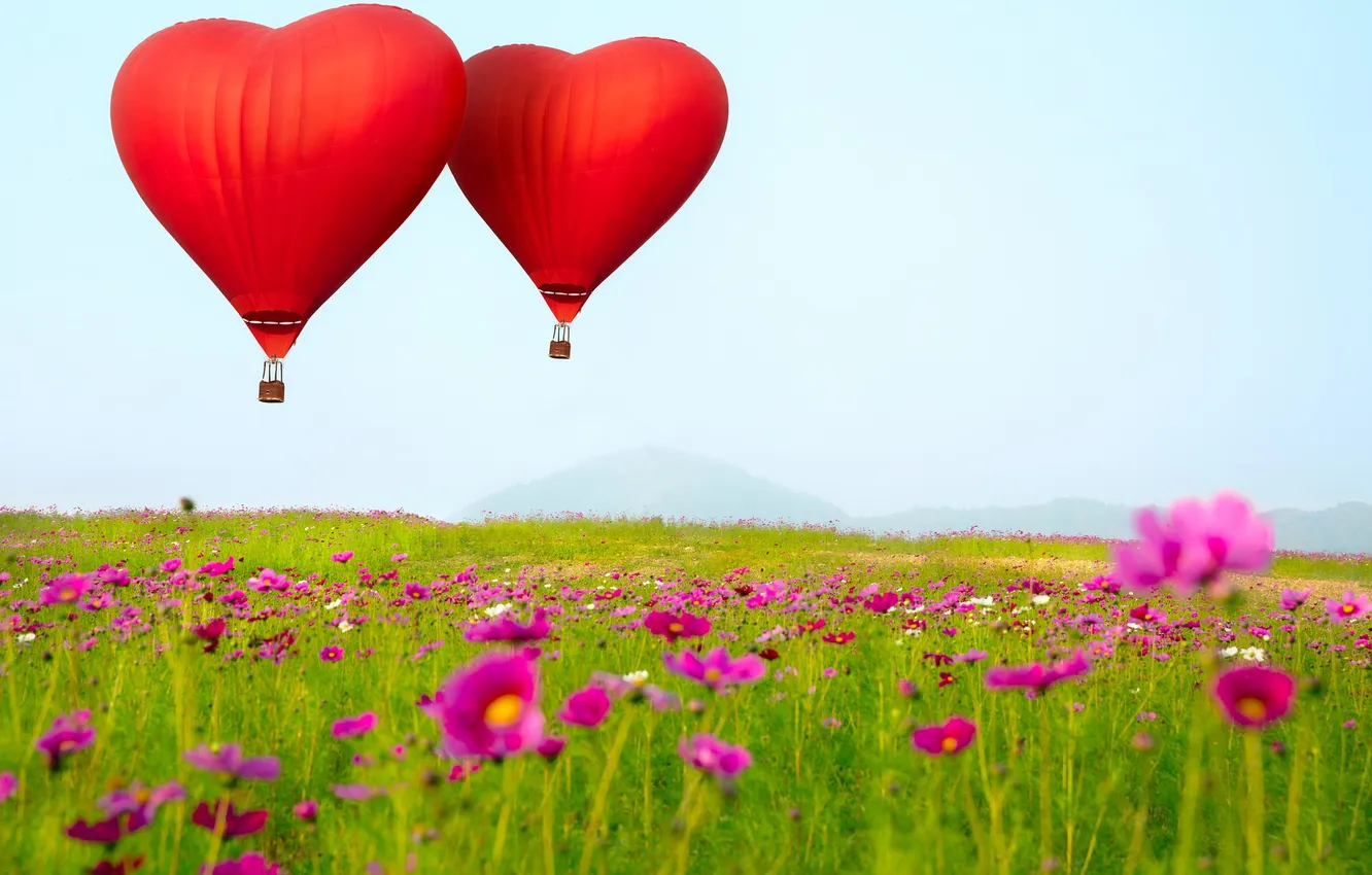 Photo wallpaper flowers, balloons, Heart shaped