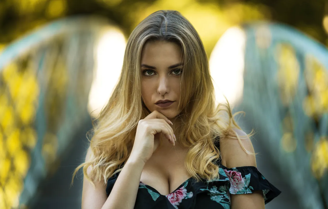 Photo wallpaper look, pose, background, portrait, makeup, dress, hairstyle, blonde