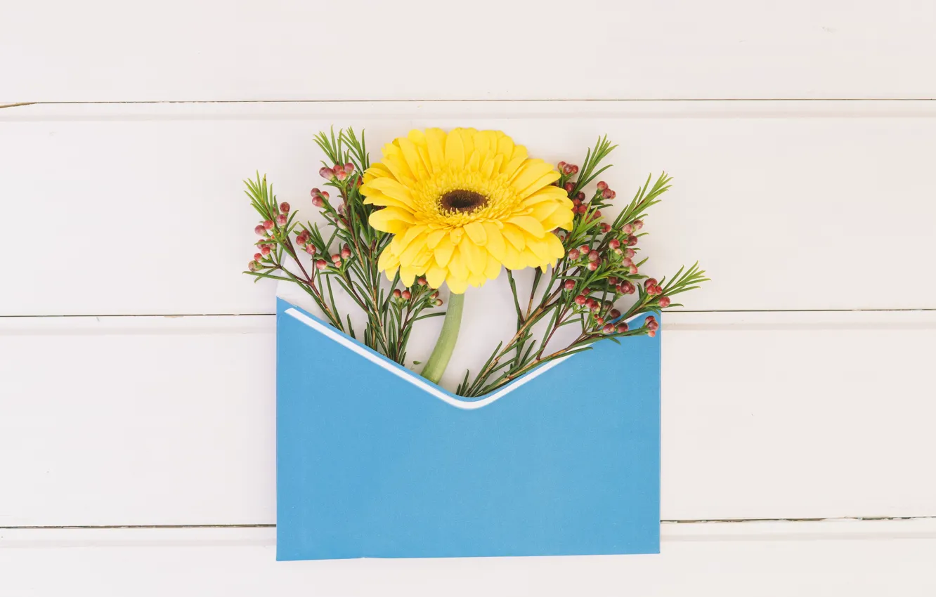 Photo wallpaper flowers, yellow, gerbera, the envelope, composition