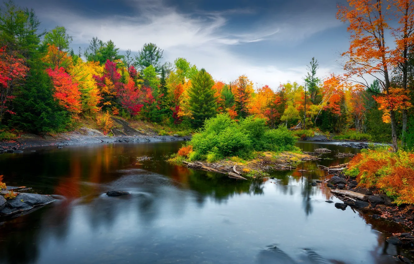 Photo wallpaper autumn, forest, shore, pond, the colors of autumn