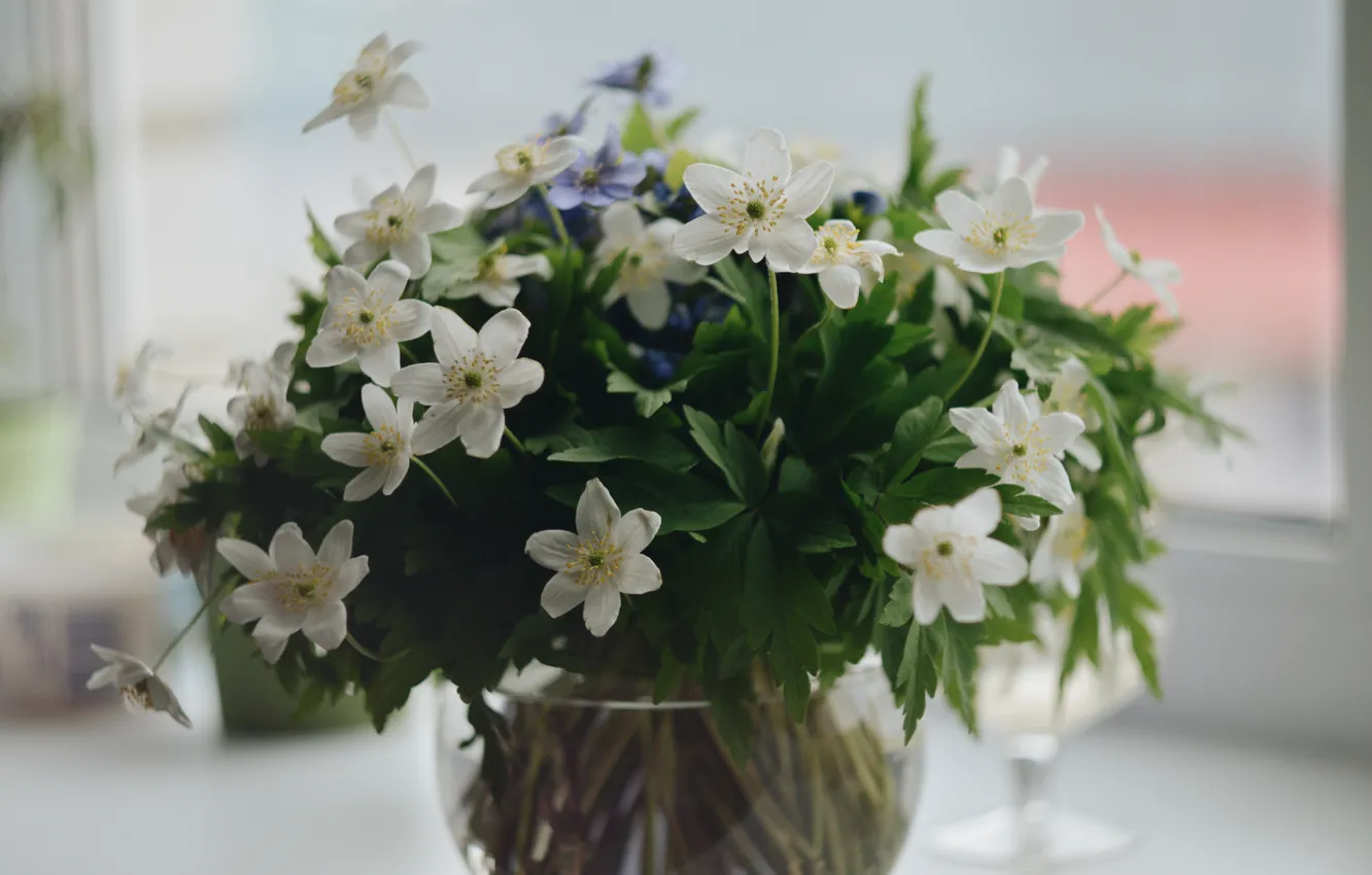 Photo wallpaper flowers, snowdrops, vase, white, blue