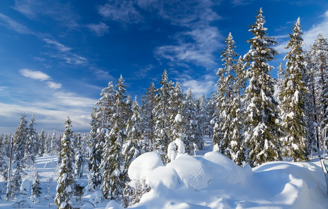 Photo wallpaper winter, forest, the sky, snow, ate, the snow, Sweden, Sweden