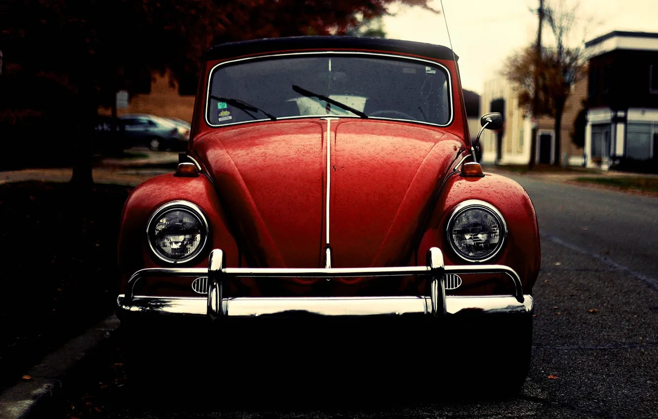 Photo wallpaper beetle, Volkswagen, beetle, old