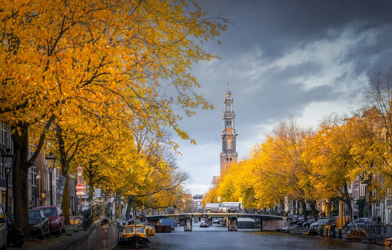Photo wallpaper autumn, trees, bridge, tower, Amsterdam, channel, Netherlands, promenade