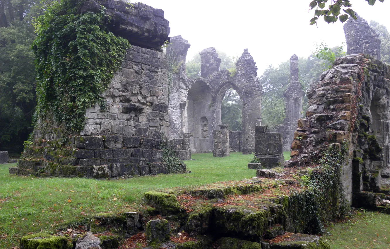 Photo wallpaper forest, the sky, ruins, architecture