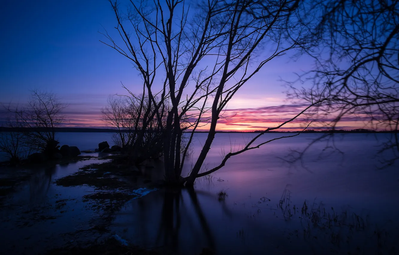 Wallpaper the sky, clouds, lake, tree, the evening, silhouette, glow ...