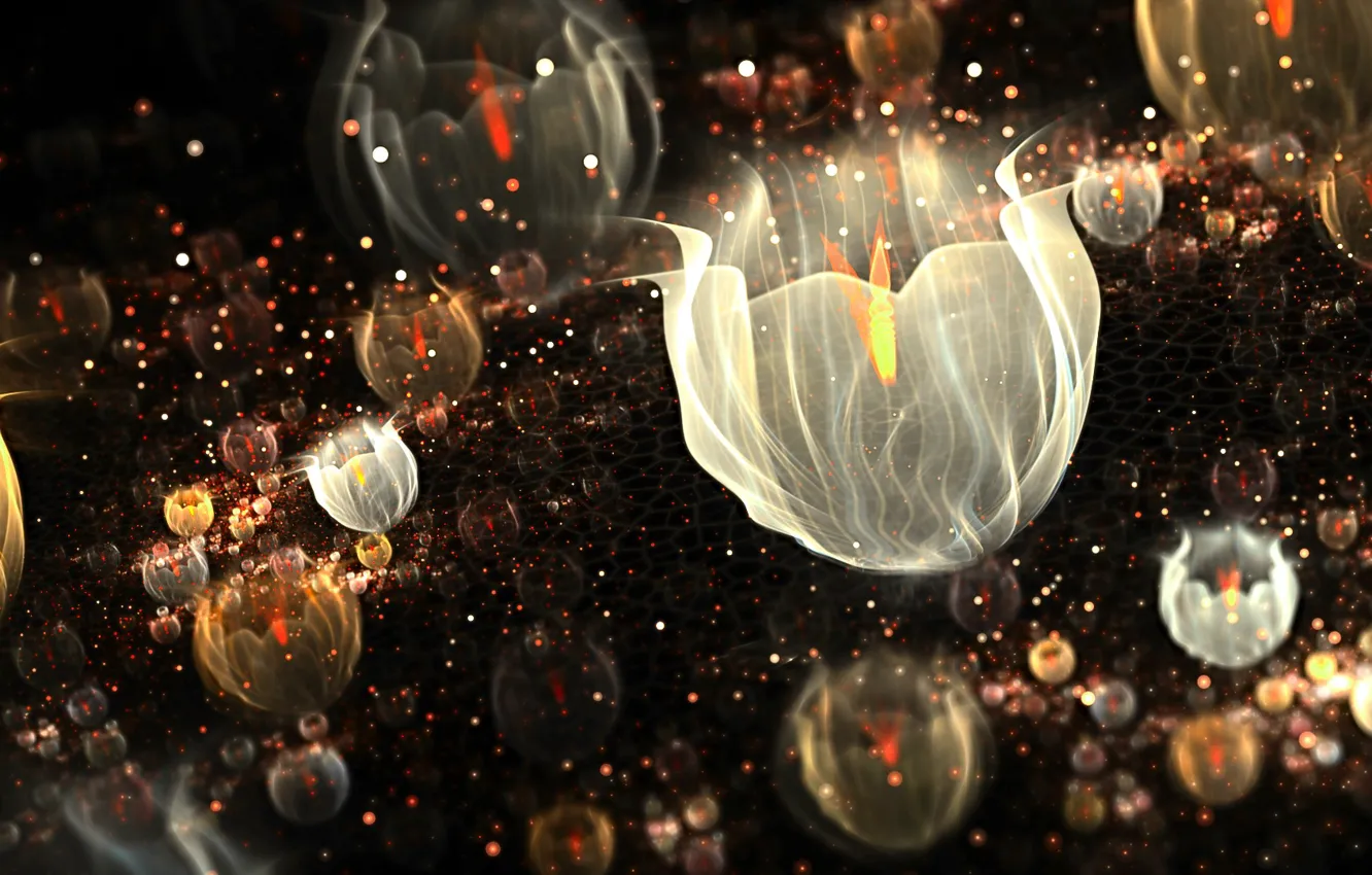 Photo wallpaper light, flowers, abstraction, buds