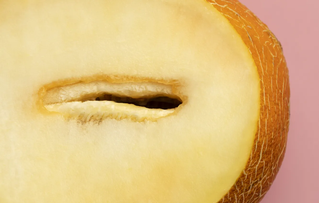 Photo wallpaper macro, pink background, halves, cut, melon