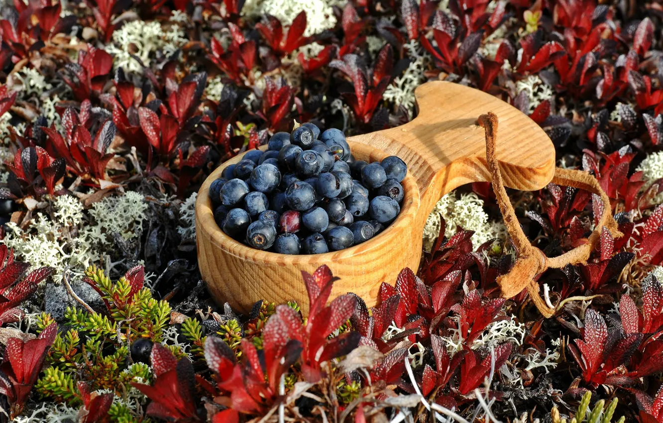 Photo wallpaper berries, blueberries, scoop