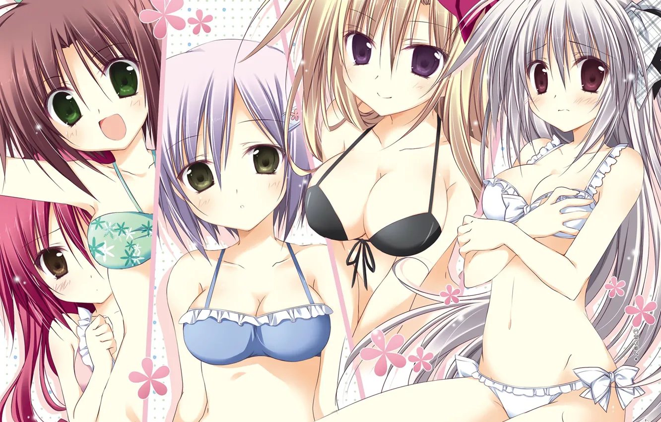 Photo wallpaper girl, group, bikini, Juuoumujin no Fafnir