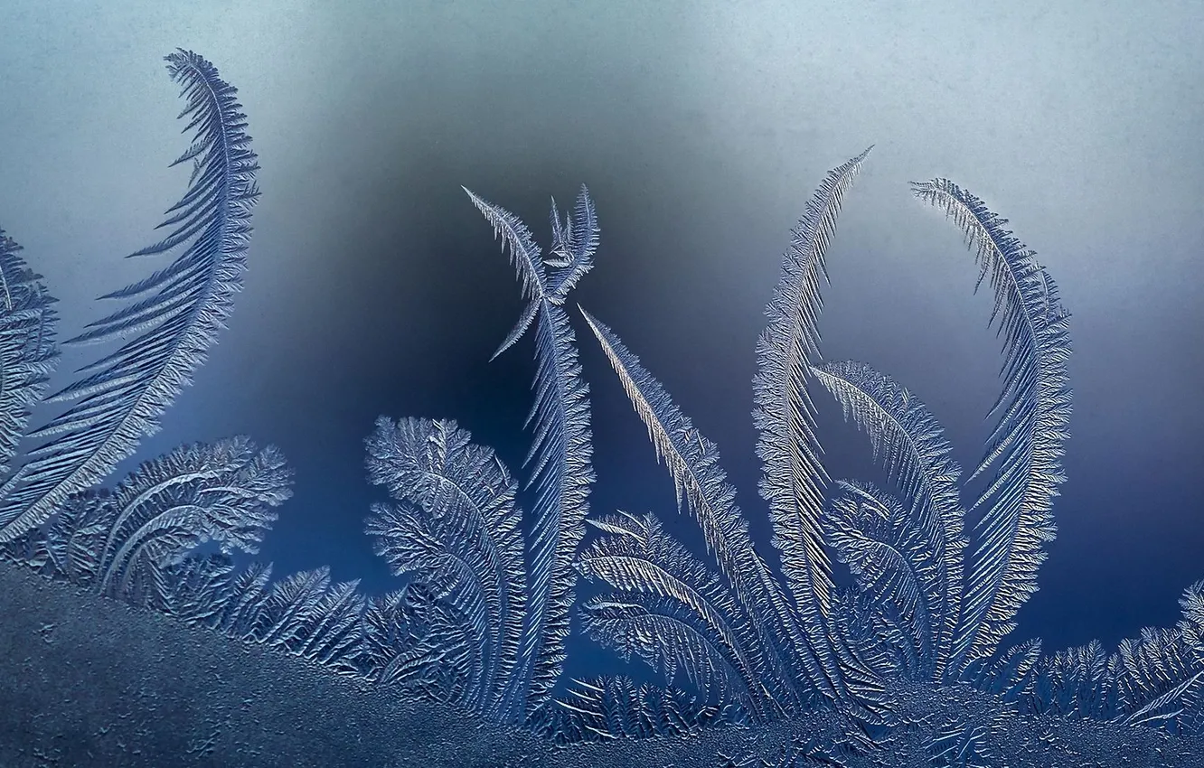 Photo wallpaper winter, frost, macro, frost, frost, Patterns on the window