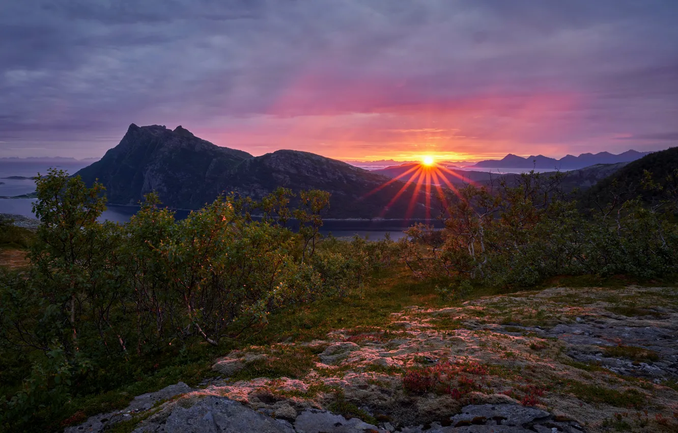 Photo wallpaper trees, sunset, mountains, Norway, the fjord